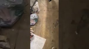 пежо 206 ABS не тормозит морда.без компа не обойтись.