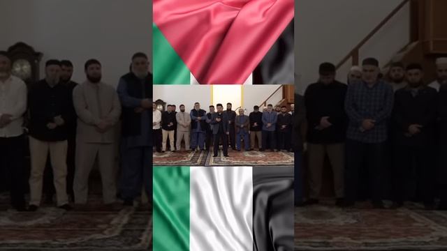 Обращение Имамов Дагестана