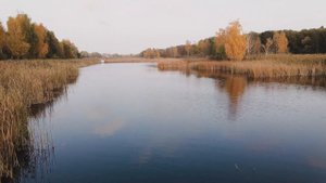 ЛОВЛЯ КАРАСЯ НА УКРОП! ВОТ ЭТО КЛЁВ! Лучший ароматизатор, дип, аттрактант для карася !