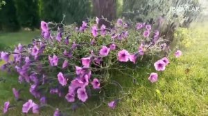 ҚАЛБ ОРОМИ УЧУН ГЎЗАЛ ҚУРОН ТИНГЛАЙМИЗ | UYQU UCHUN SOKIN QURON"