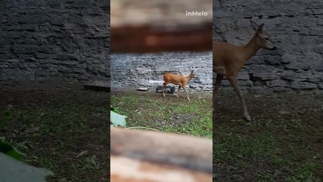 Приятные воспоминания насыщенного лета