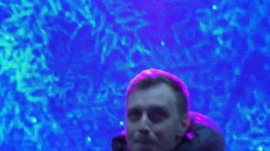 "Букет" Алексей Гоман 01.01.2020 г.