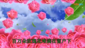 苏联歌曲 《百万朵玫瑰》"Миллион алых роз" - 中文版