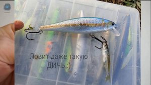 Lucky Craft Pointer 128 SR: Плавающая бочка