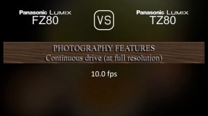 Panasonic Lumix FZ80 vs. Panasonic Lumix TZ80: A Comparison of Specifications