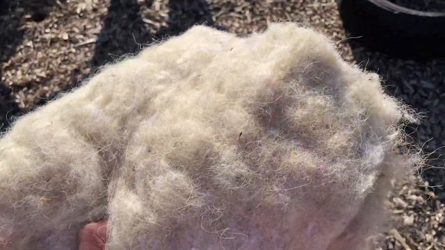 Planting Dahlias, Taking Cuttings & Some Amazing Varieties To Grow 27:5:22 смотреть онлайн