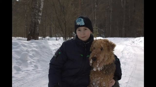 Все о породе Эрдельтерьер. Мой пёс Дар -эрдельтерьер.Интересные факты о моей собаке..