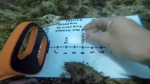 Scuba tector тесты под водой 50 метров! Самый крутой подводный пинпоинтер