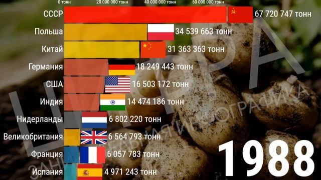 Лучшие страны по производству картошки (1961-2020) смотреть онлайн
