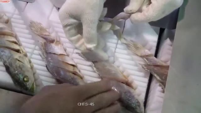 Машина для косой нарезки рыбы CHTS-45