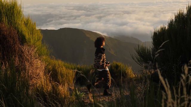 Planet of nature ,animals and Relax Music смотреть онлайн