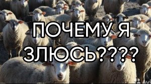 ПОЧЕМУ Я ЗЛЮСЬ____