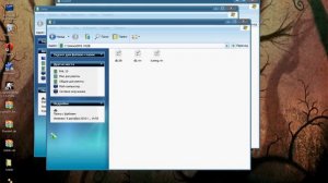 Установка доп файлов для NHL 09