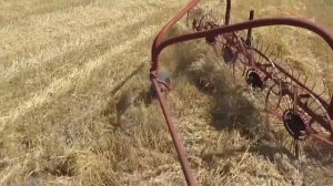 Грабли гвк и минитрактор т 25 на соломе.