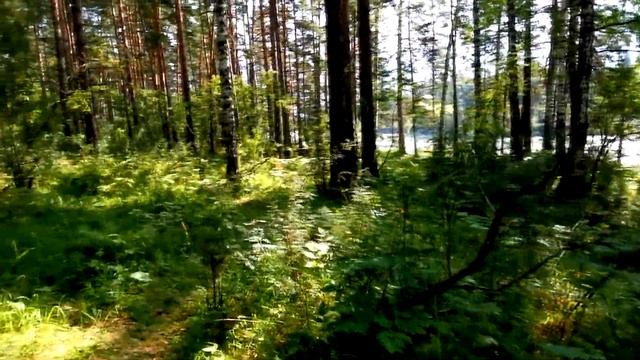 Куда поехать на Алтай в первый раз? Необъяснимое нечто началось на Алтае! Тайны Алтайских гор.