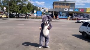 Танец зайца на улице