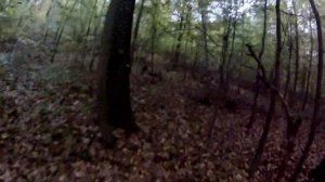 GoPro 2 Video test