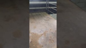 Замена топливного фильтра ниссан сирена TC24