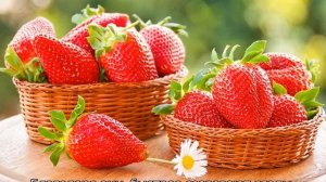 Калийная селитра для клубники