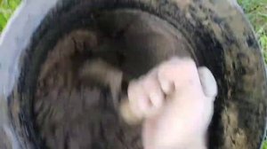 Заливка столбов для шпалеры.