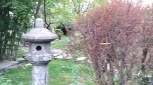 Фонари в японском стиле (Сочи,апрель)