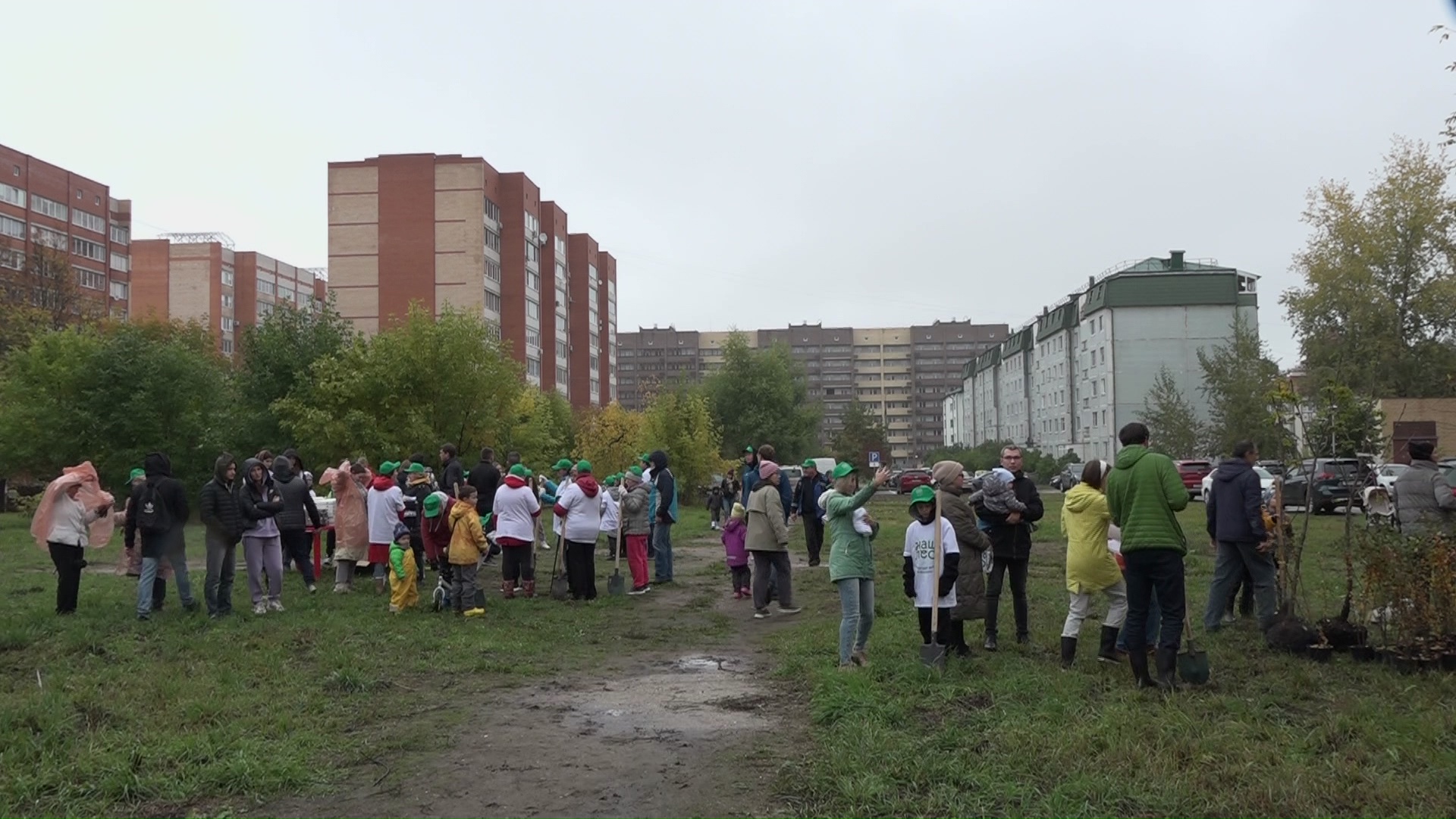 Перекресток дубна фото