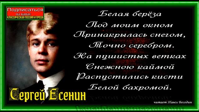 Белая берёза , Сергей Есенин, Русская Поэзия , читает Павел Беседин