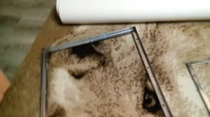 сушилка из нержавейки для грибов, ягод и тд...