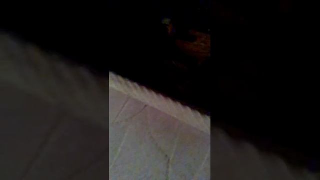 пропавший петушок Джон смотреть онлайн