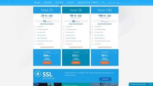 Независимый обзор хостинга Domen-Hosting-Net