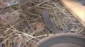 Автомобиль Лада Ларгус замена задних тормозных колодок. В поле и на коленке. ДЕРЕВНЯ.