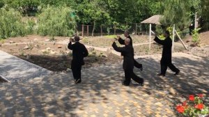 Wudang San feng Taiji 13 - 武當 三丰 太极 十三式 (Удан Сань Фэн Тайцзи 13 )