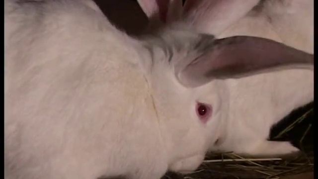 Волжск смотреть онлайн