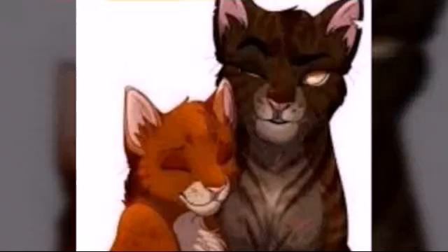 Клип Шопот в темноте про ежевику и белку смотреть онлайн