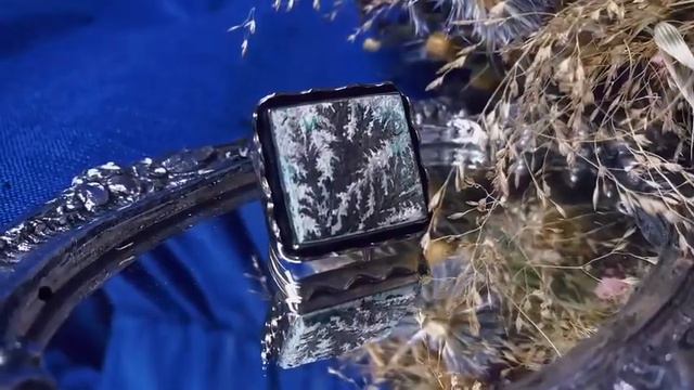 Сила и магия дендрита смотреть онлайн