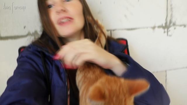 УТЕПЛЕНИЕ ЧАСТНОГО ДОМА ♥ Утеплитель ROCKWOOL смотреть онлайн