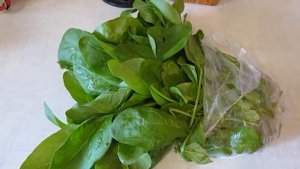 Стоимость зелени (шпинат и руккола) в Ровенской области