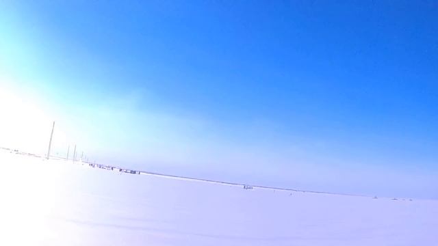 Охота на зайца. Заяц, выходи!!! смотреть онлайн