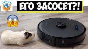 Бедная Свинка и Робот Пылесос Proscenic M8 PRO! С Базой Самоочистки и Wi Fi Обзор | СПЕЦЗАКАЗ