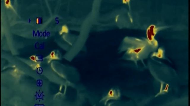 Termovize Pulsar Quantum Lite XQ30V - "ZOO Praha" (www.raj-myslivcu.cz) смотреть онлайн