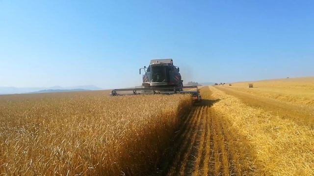 Уборочная кампания - 2021: АО «Искра»