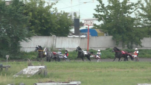 Красноярск 5.07.2020г.Приз Павлина старший  возраст 2400м