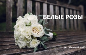 Белые розы (песня группы "Ласковый май") кавер