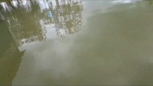 РЫБАЛКА НА ВЕРШИ! ПОСТАВИЛ 4 ВЕРШИ! И ПОПАЛОСЬ...