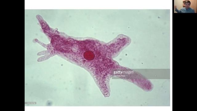 Зоология 3 смотреть онлайн