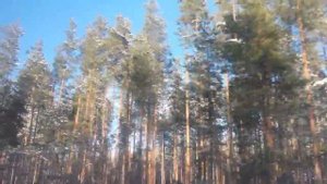 Дорога в посёлок Осьмино, Лен. обл.
