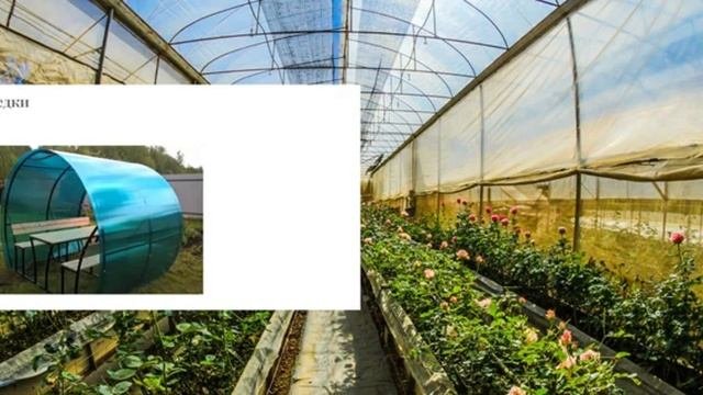 Теплица Профи - Производство теплиц