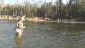 Таймень в ноябре