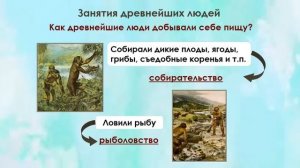 Познание мира 1 класс. Урок №16