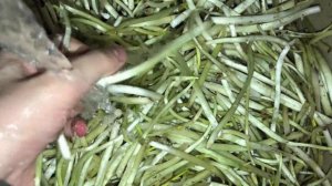 Как готовить черемшу. Самый легкий и вкусный рецепт (Подробный)